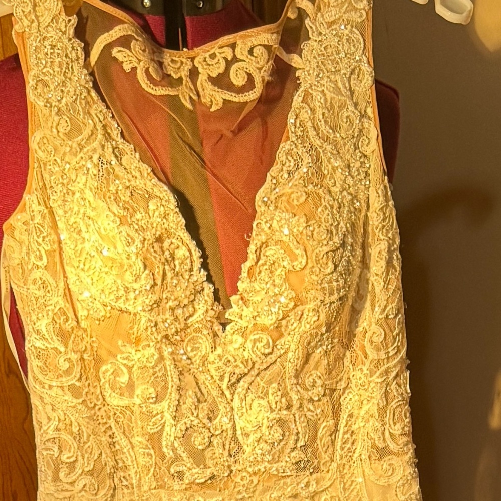 WEDDING DRESS  -   DAVID'S BRIDAL